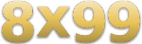 8x99 logo